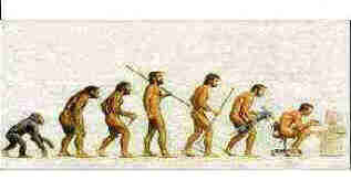 http://www.cs.mcgill.ca/~bmaniy/images/human_evolution.jpg