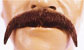 Moustachio's secret stash