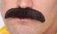 Moustachio's secret stash