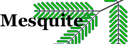 Mesquite