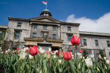 McGill Campus