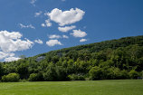 Mont-Royal as seen from McGill campus.