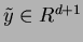 $ \tilde{y} \in R^{d+1}$