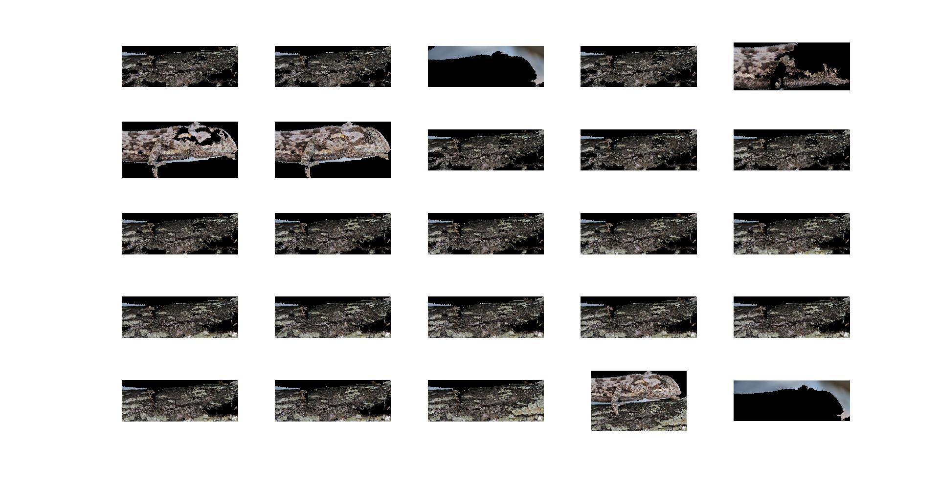 Selective search as object recogntion