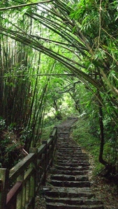 Hiking
