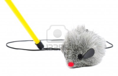 CatToy
