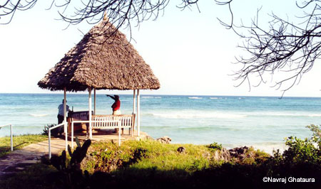 Gazebo_south_coast