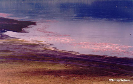 Lake_Nakuru_from_baboon_cliffs_3