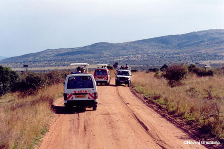 Maasai_Mara_game_drive