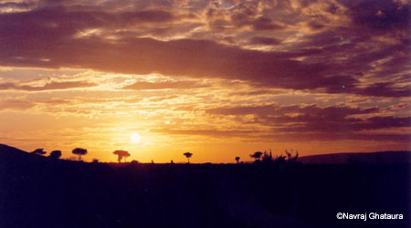Mara_sunrise
