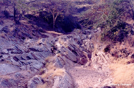 Seasonal_river_anitas_place_2
