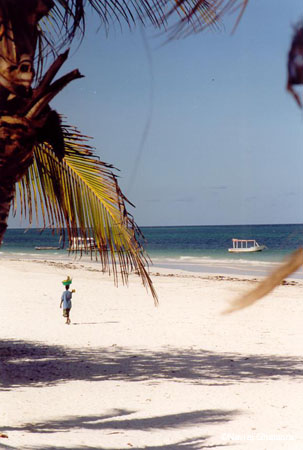 South_coast_beach