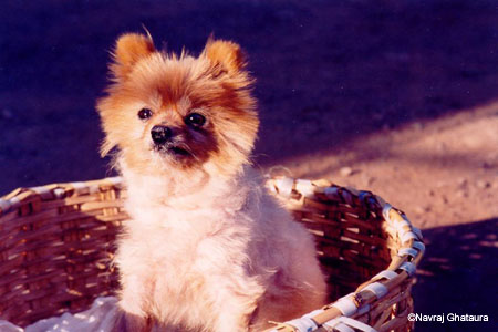 Teddy2