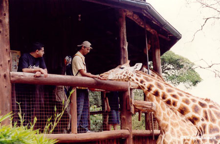 me_feeding_giraffe2