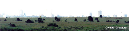 nairobi_skyline_from_nnp
