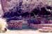 Anitas_living_dining_room