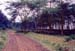 Lake_Nakuru_nat_park_road