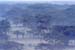 Misty_morning_Nakuru_trip2