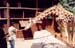 Navjit_feeding_giraffe2