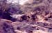 Seasonal_river_anitas_place