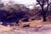 Seasonal_river_anitas_place_3