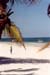 South_coast_beach
