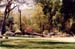 fishermans_campsite