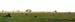 giraffe_nbi_skyline