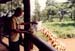 me_feeding_giraffe