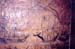 portugese_paintings_for_jesus