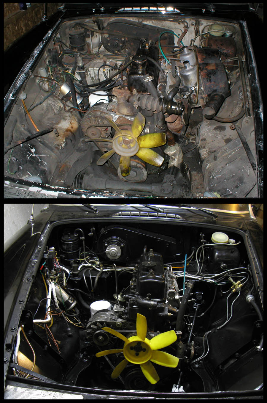 2011 Project