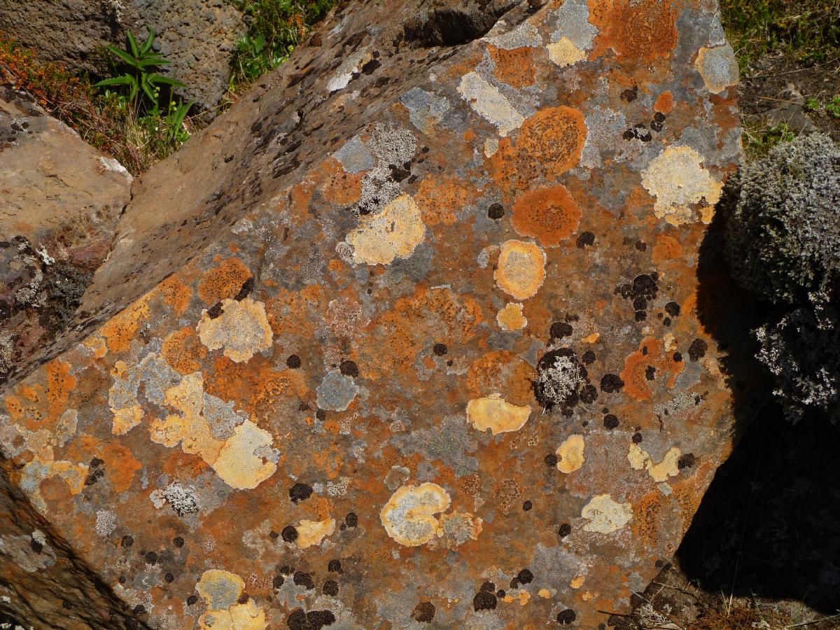 120610gStonedetail