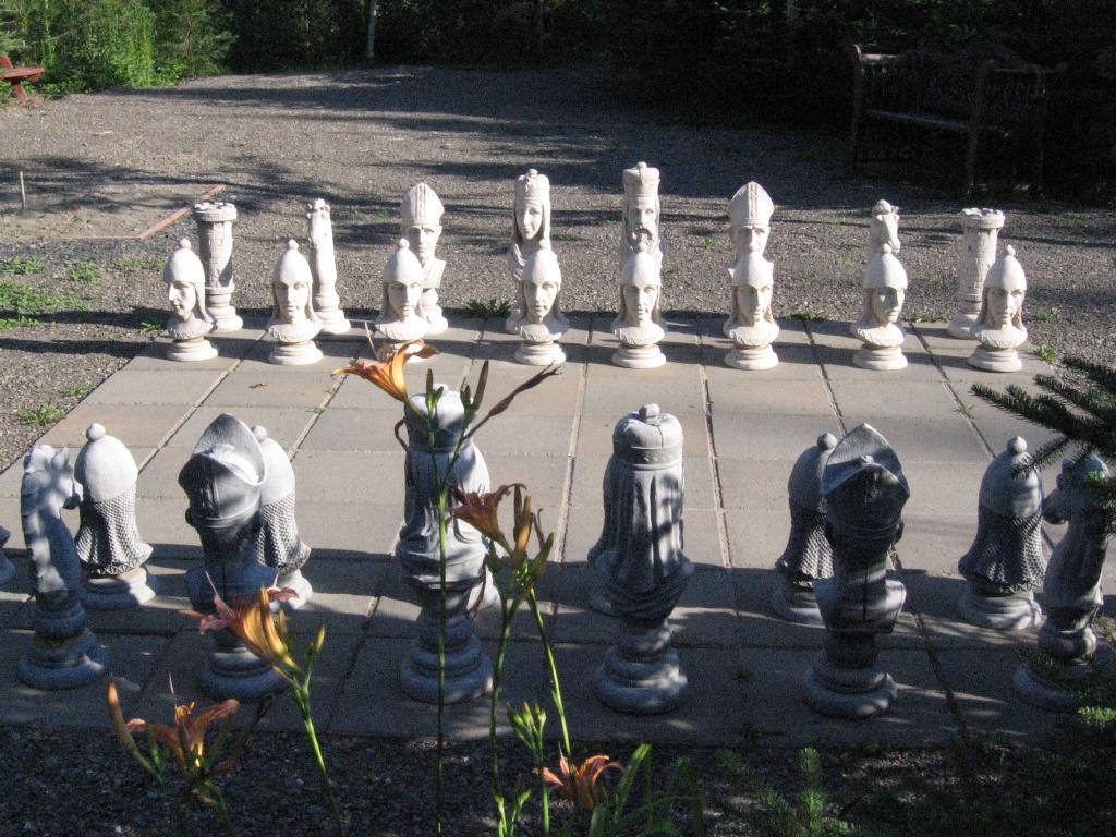 100802auNiDaigleChess