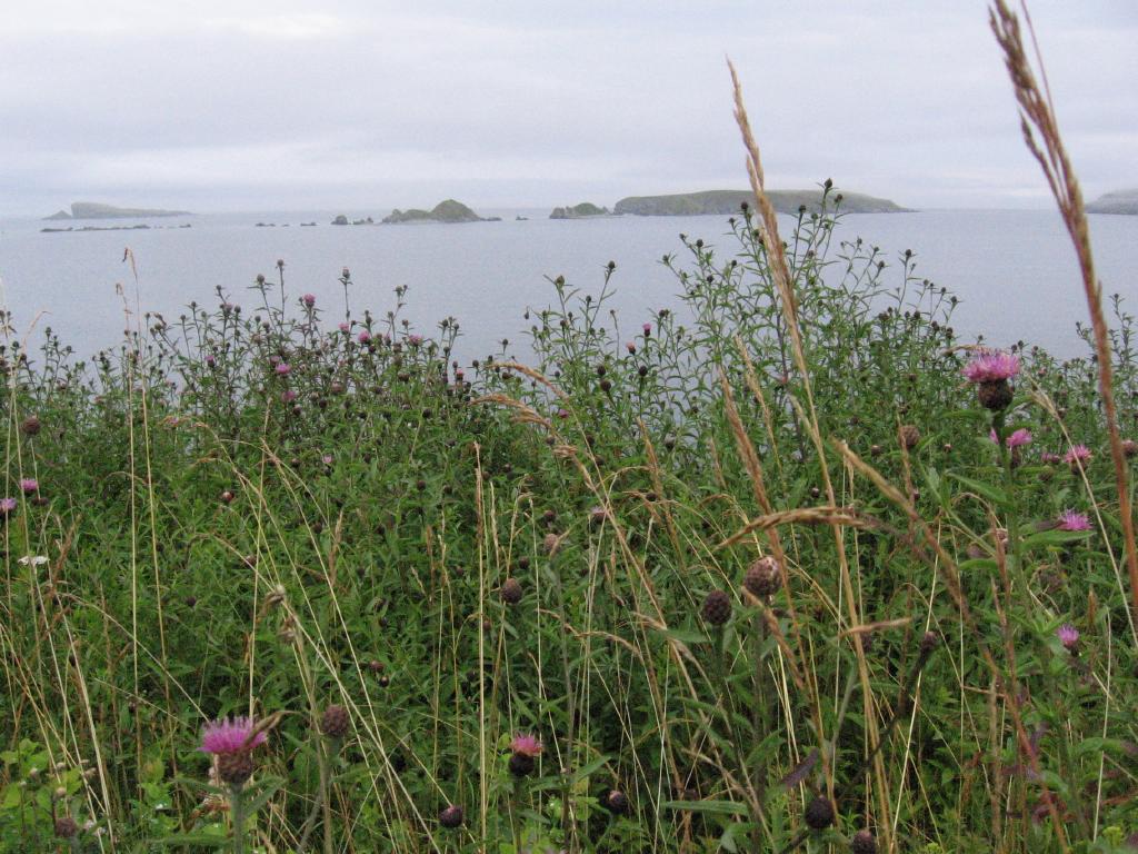 100807islandsFerryland