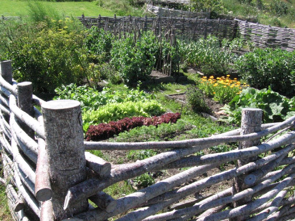 100808gardenFerryland