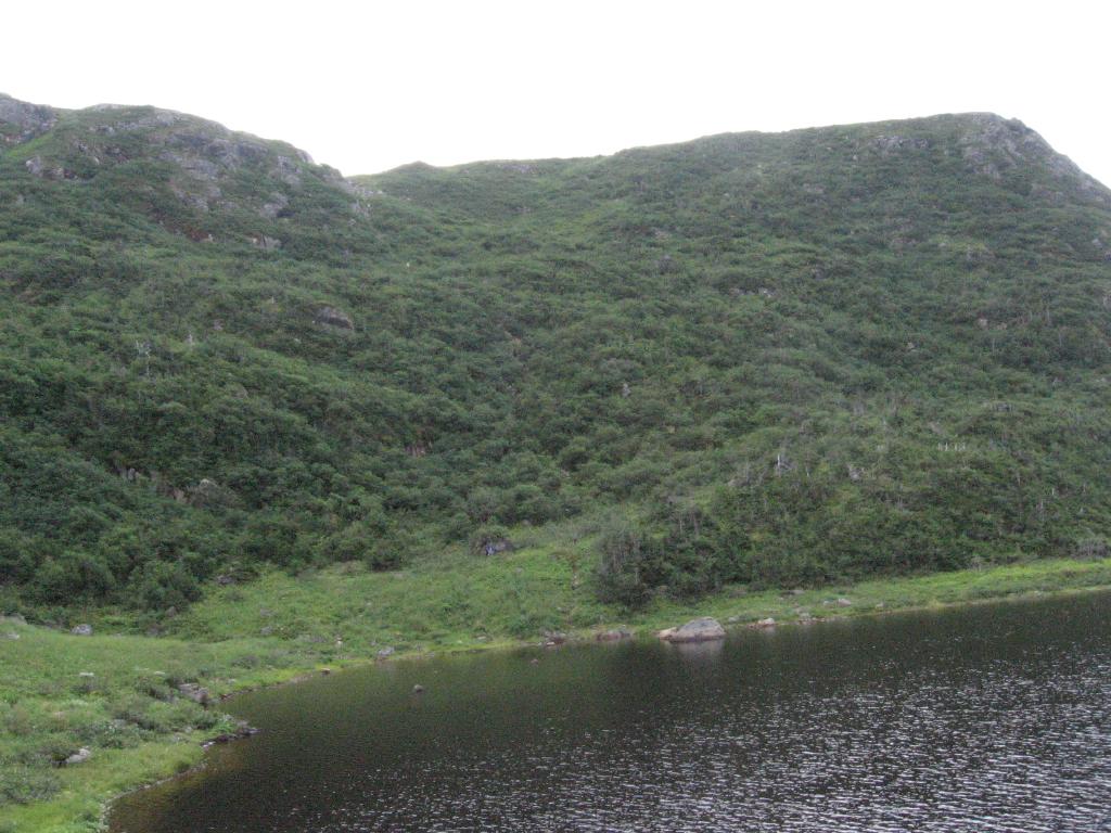 100817traversersDescending