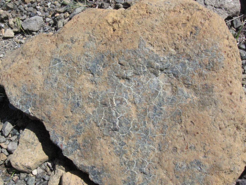 100815peridotite2serpentine1