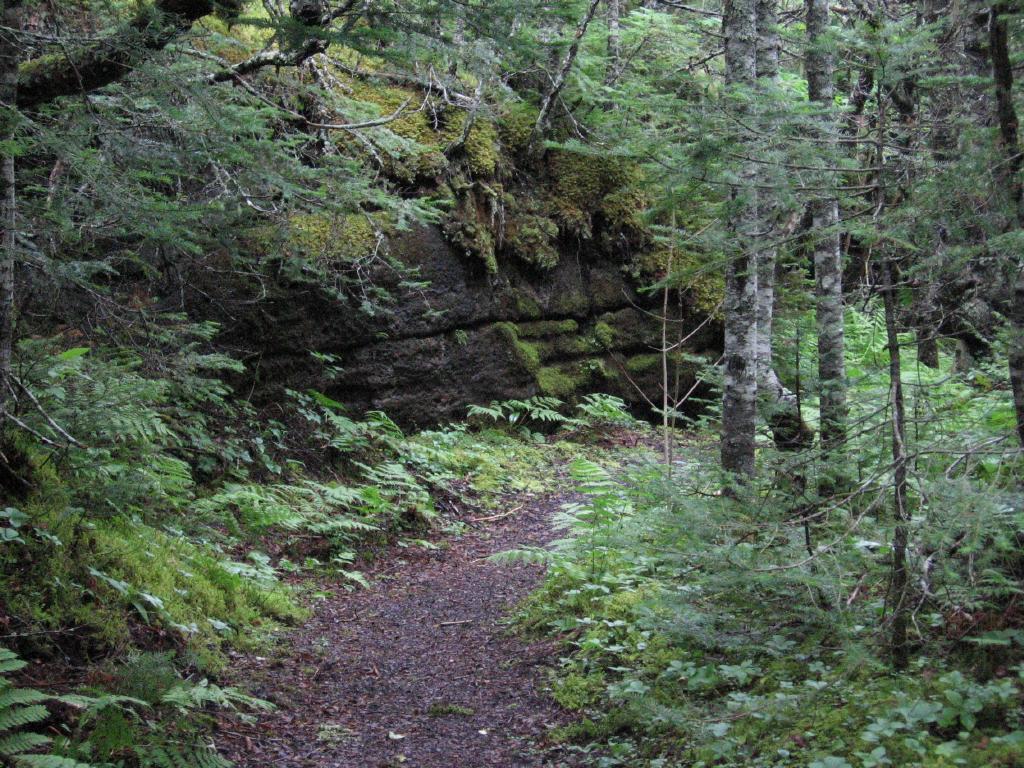 100818limestoneEscarpment