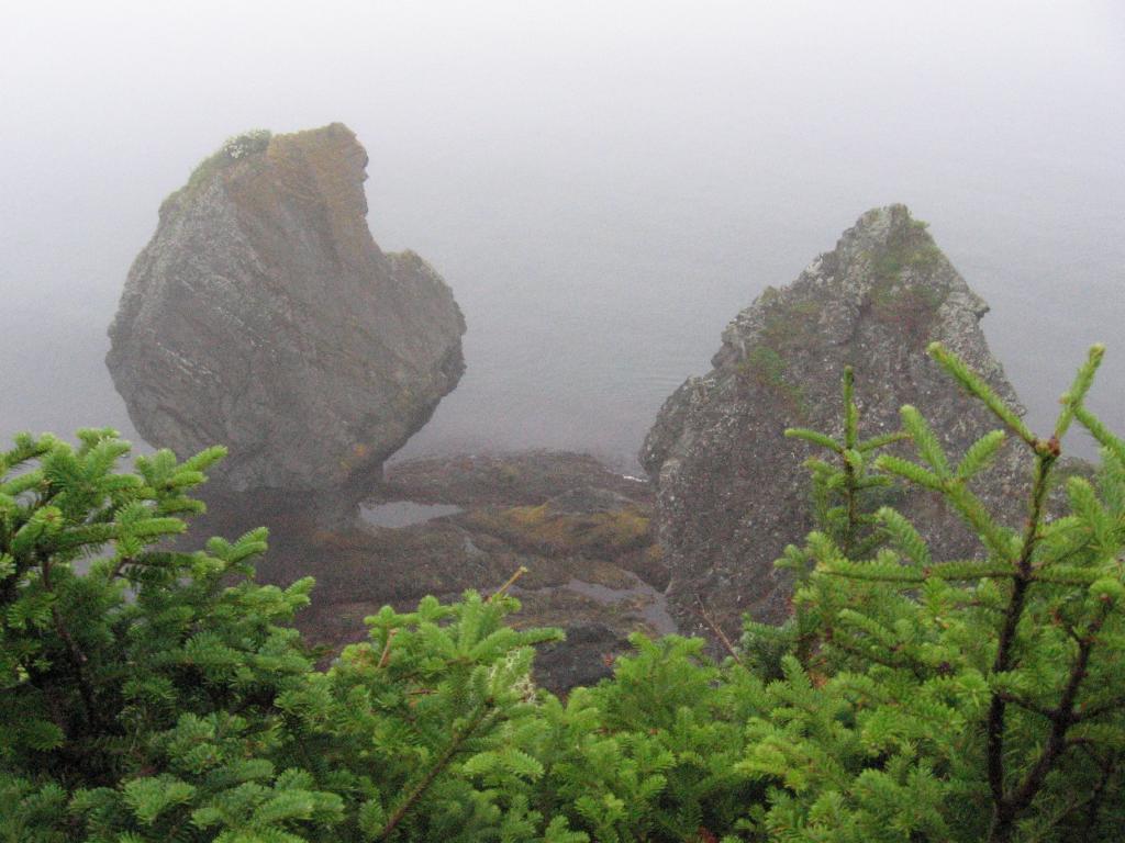 100811seastack2Skerwink