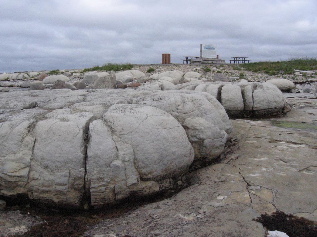 100820thrombolites