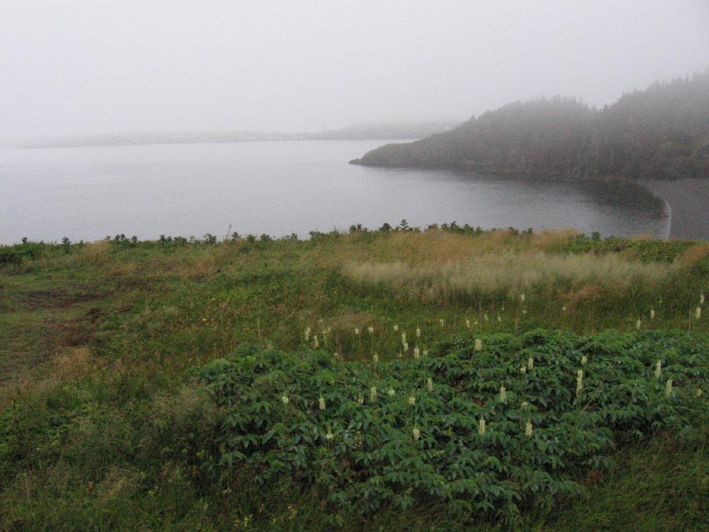 100811burnettSkerwink
