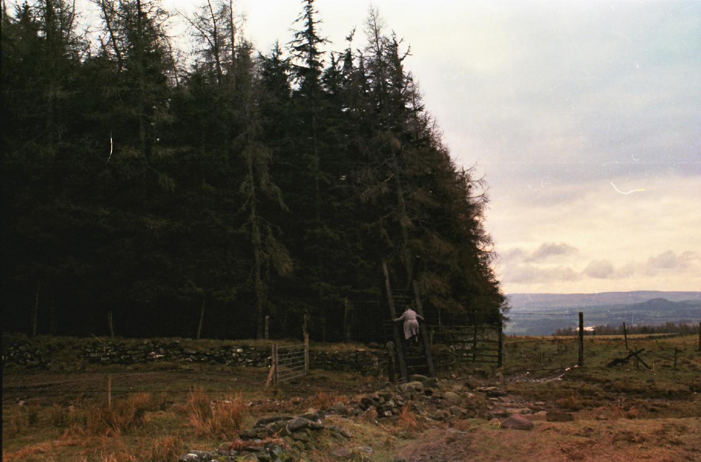  870402firstOut05MAtrees