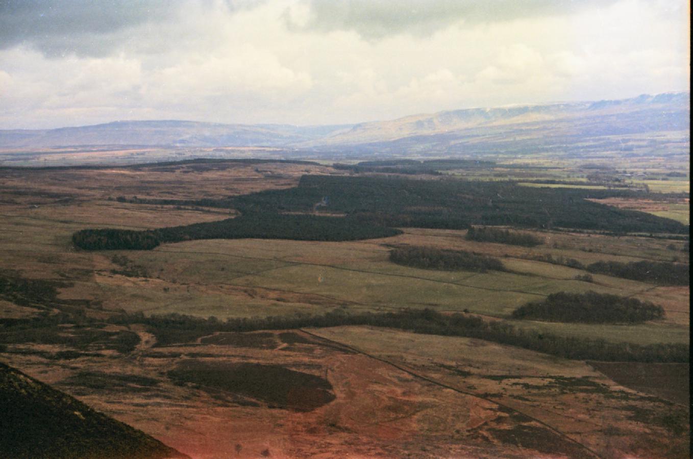 870402firstOut07forest