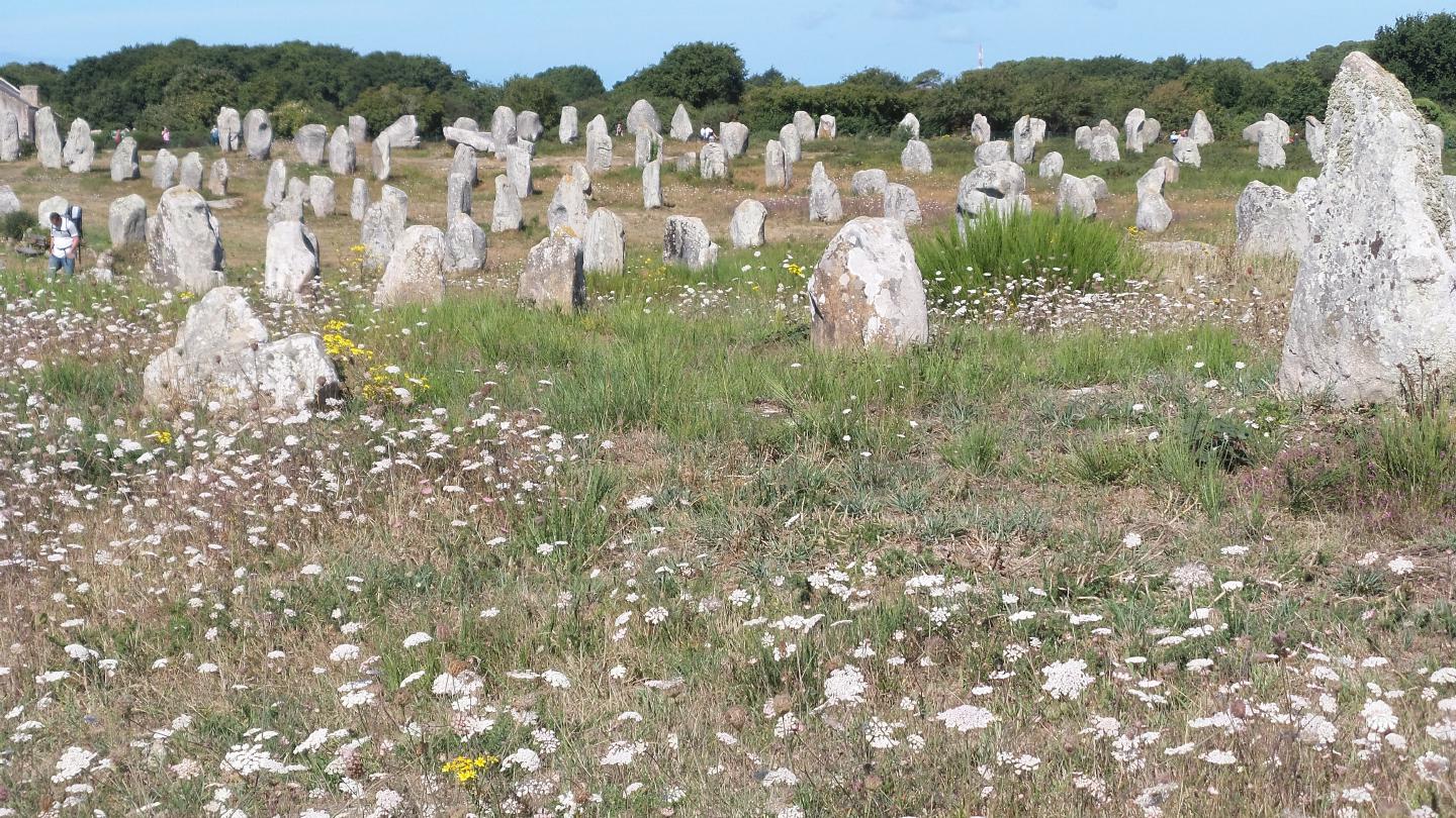 cmb150806alignCarnac