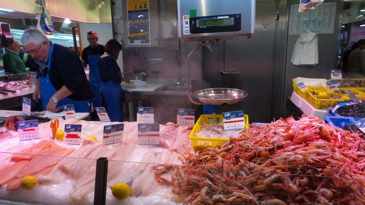 dzd150810langoustines