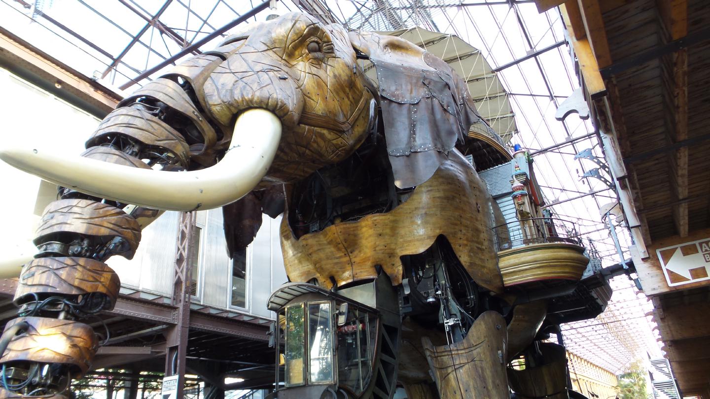 ahb150730elephant
