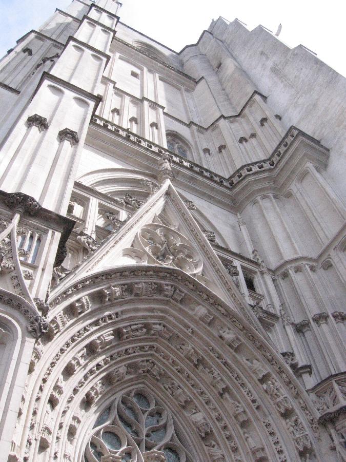 asa150731cathPetPaul