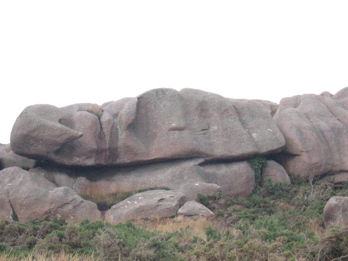 eva150813granitRose