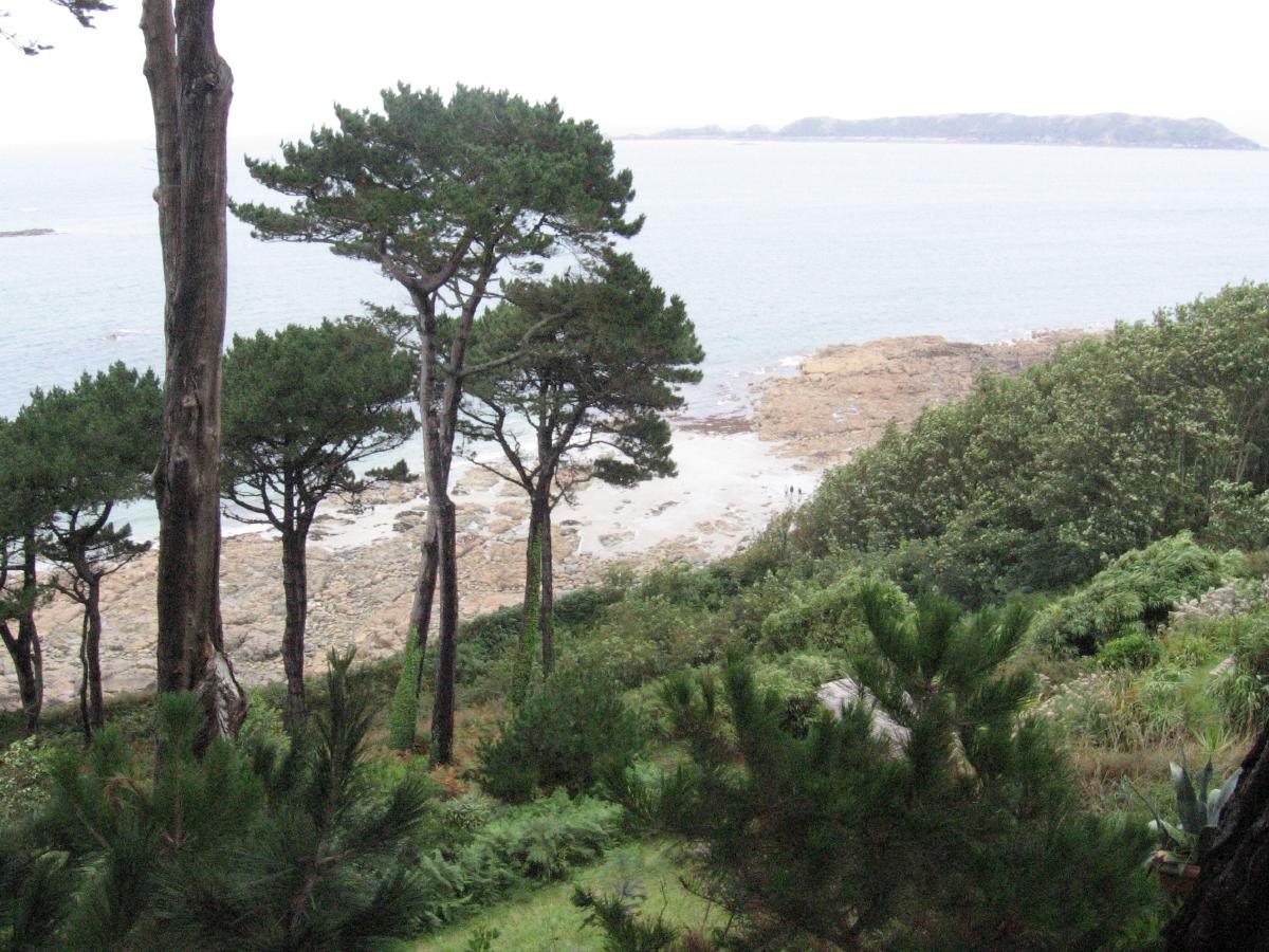 exa150814trees