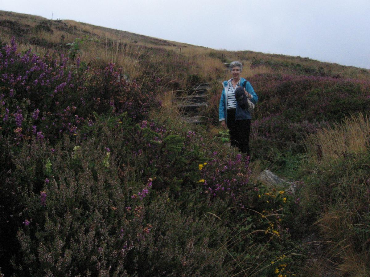 ela150813heather